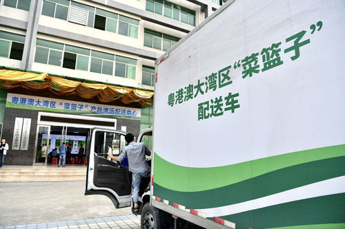 8月第一周，清遠城市配送關(guān)鍵詞聚焦“菜籃子”保障力